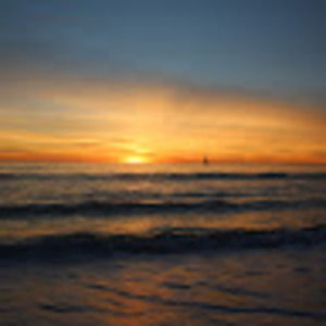 Meet your Posher, Sean